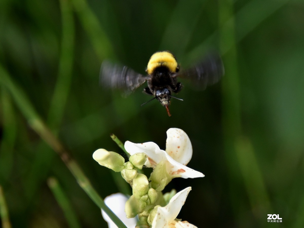 #版主坐堂#小五星空(中国)2019年十一月精品荟萃