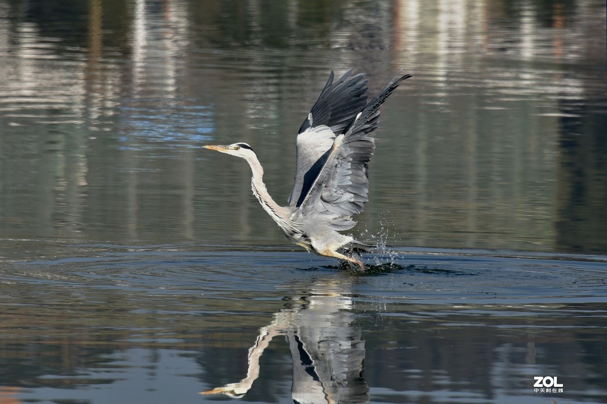 #版主坐堂#小五星空(中国)2019年十一月精品荟萃