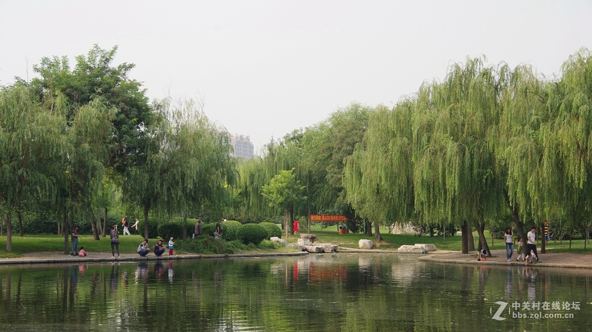 初秋【河北邯郸赵苑公园】