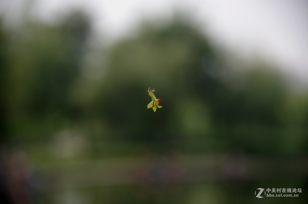 初秋【河北邯郸赵苑公园】