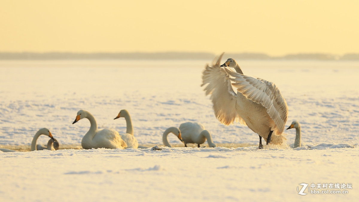 #版主坐堂#  2016年1月《佳能EF 16-35mm f/2.8L II USM镜头》星空(中国)优秀作品选编
