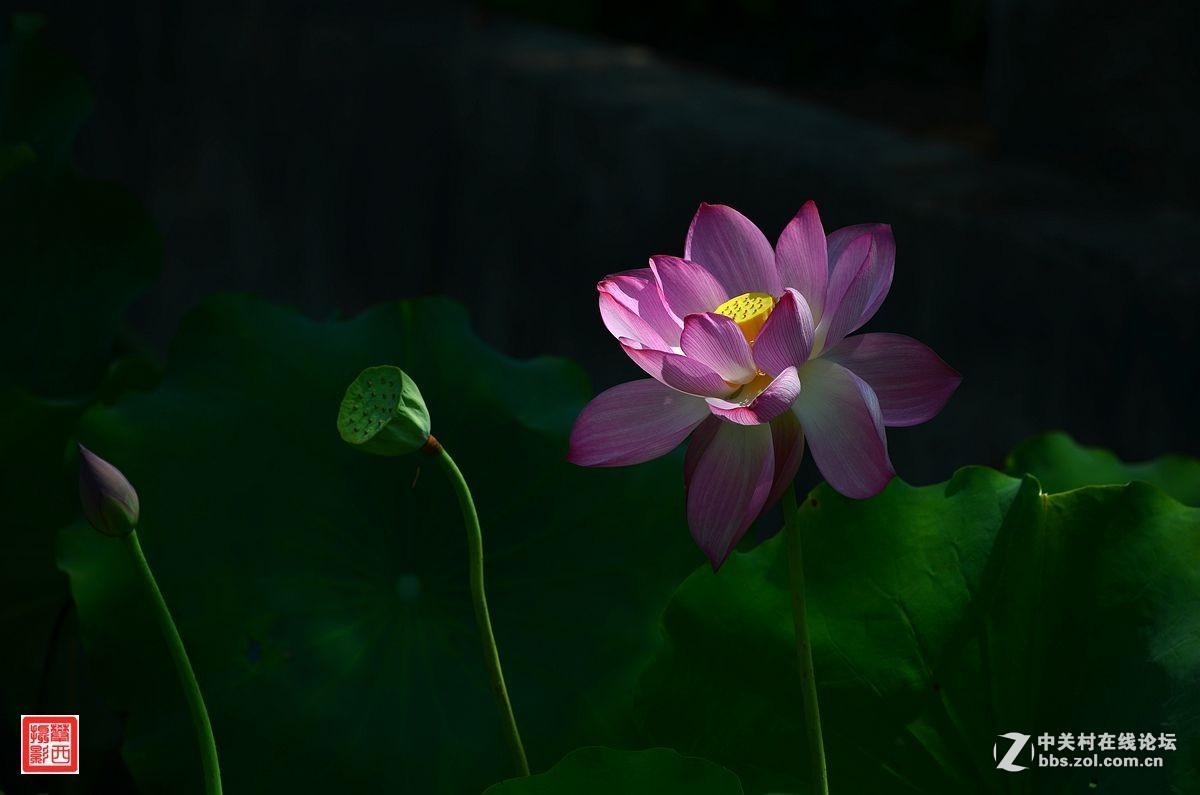 #版主坐堂#  2016年1月《佳能EF 16-35mm f/2.8L II USM镜头》星空(中国)优秀作品选编