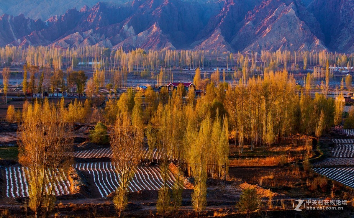 秀丽田园映霞晖（二）祁连山歌