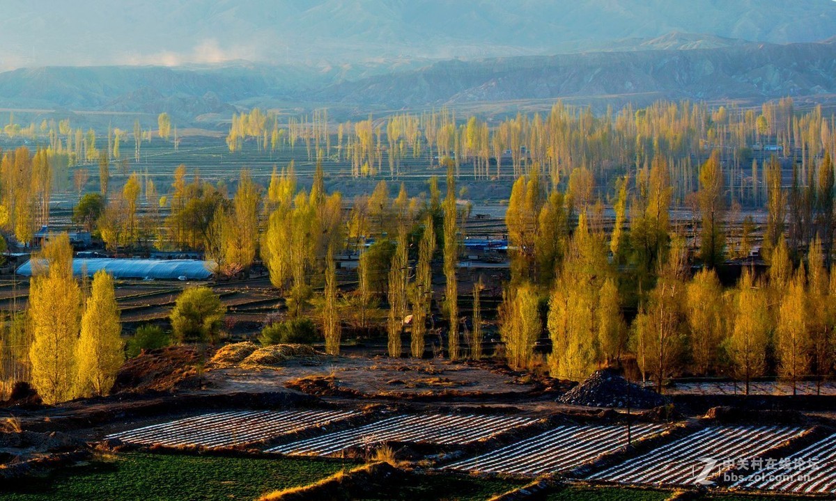 秀丽田园映霞晖（二）祁连山歌