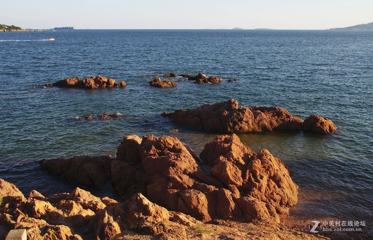 『青岛鲁迅公园』123...15P