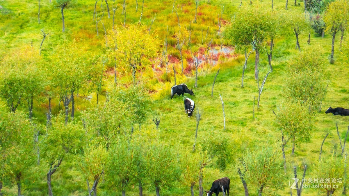徕卡112西藏拍摄