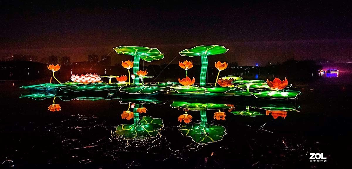 那年那月烈士公园观灯展