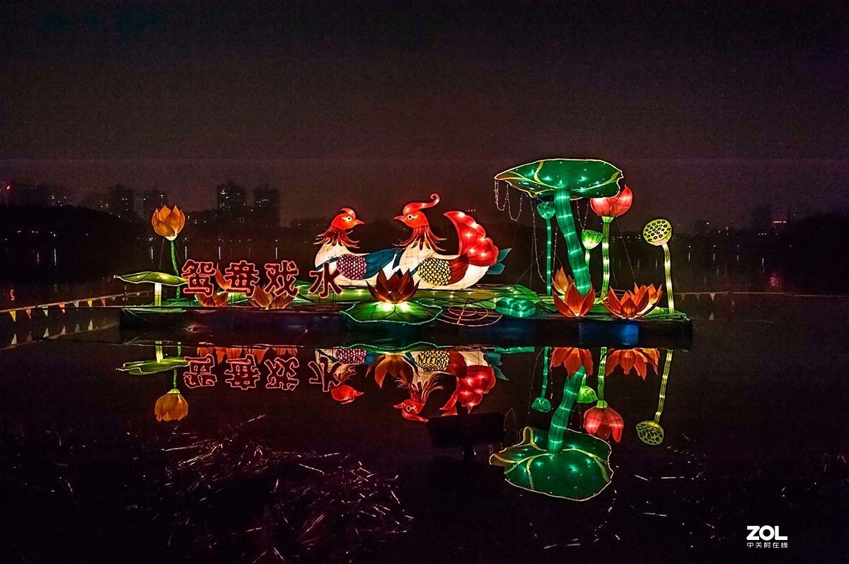 那年那月烈士公园观灯展