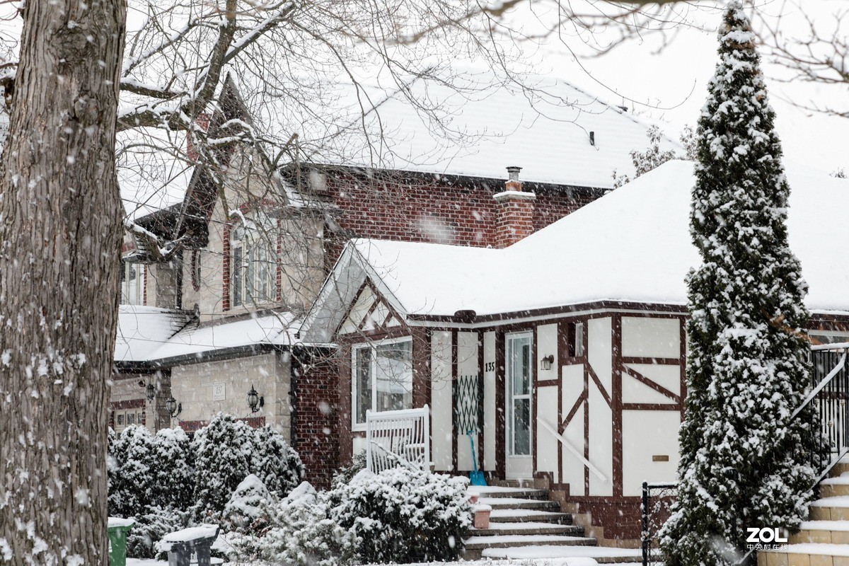 多伦多这个冬天的第三场雪6