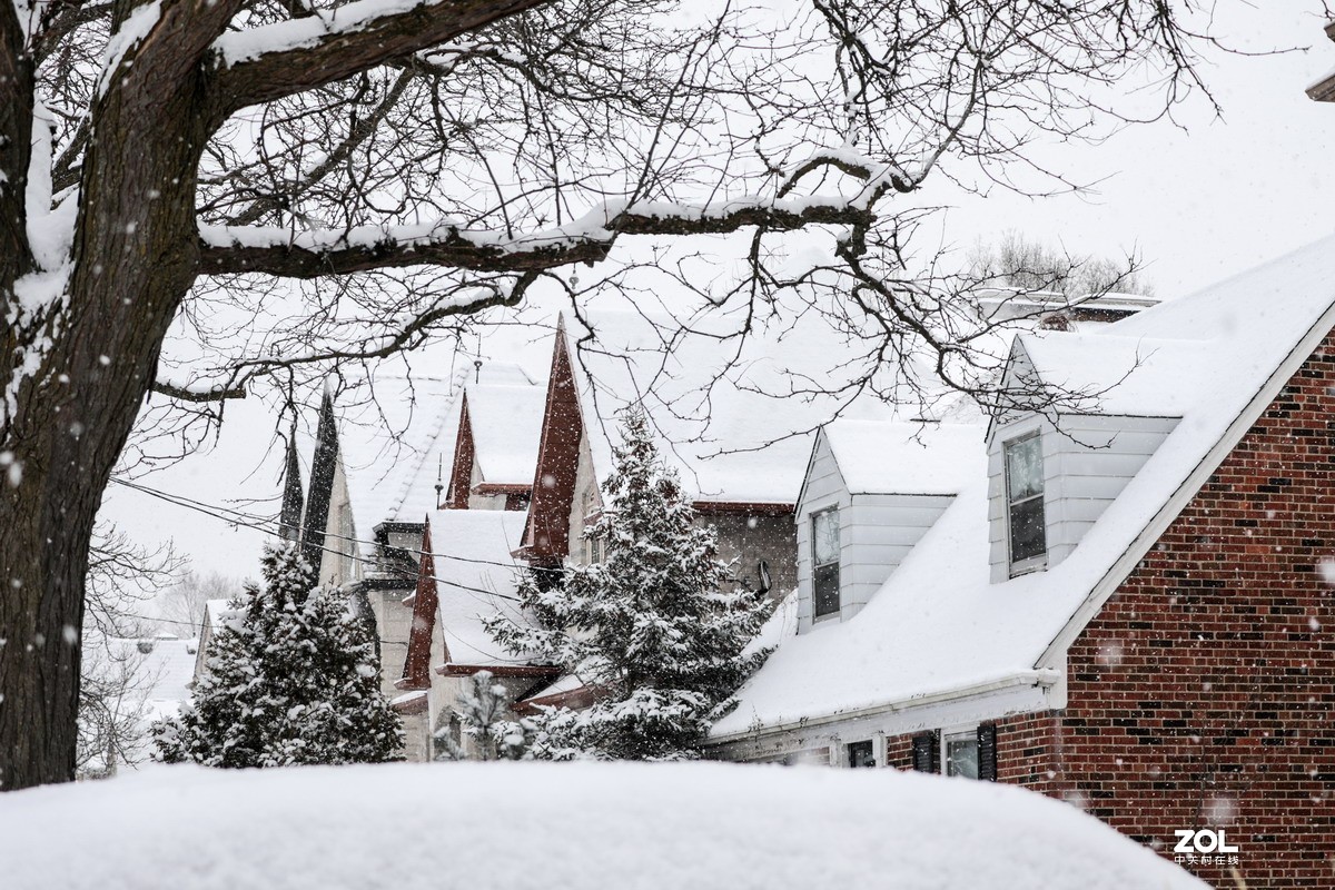 多伦多这个冬天的第三场雪6