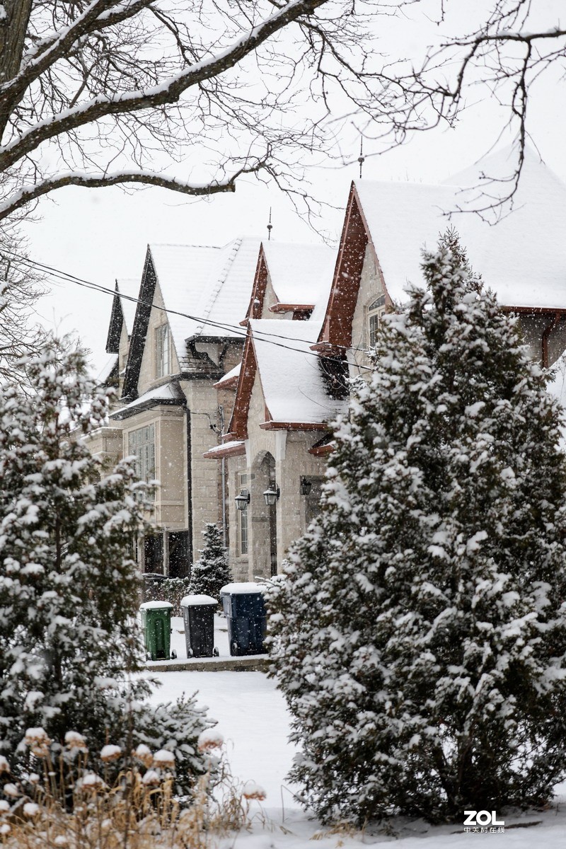 多伦多这个冬天的第三场雪6