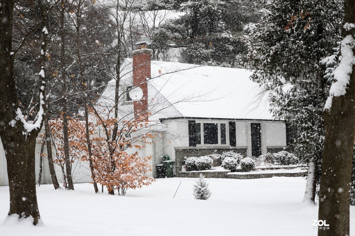 多伦多这个冬天的第三场雪6