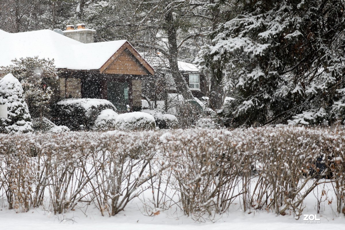多伦多这个冬天的第三场雪6