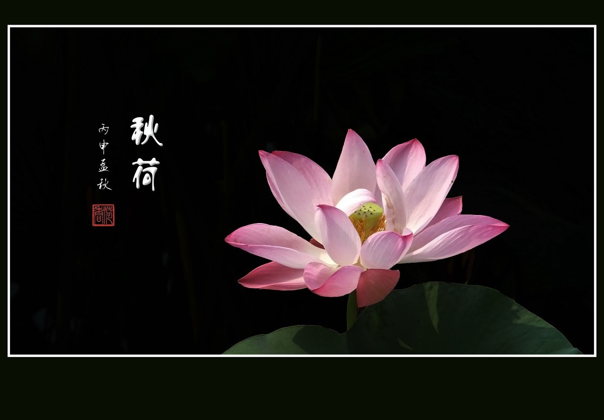 #版主坐堂#2016年8月份《承德》优秀作品选辑