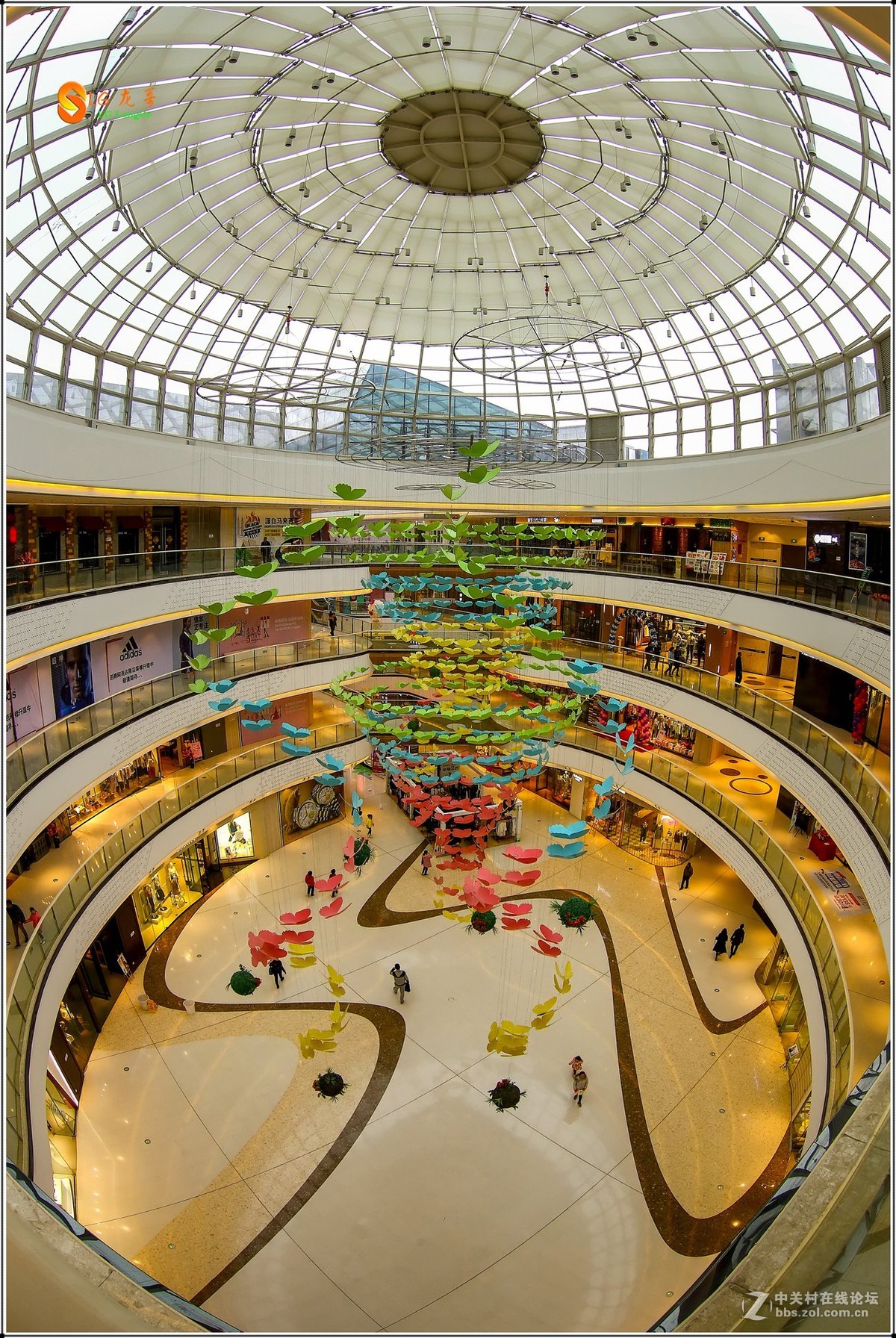 泽尼塔尔（2015款）16mmF2.8鱼眼镜头试拍线条光影效果