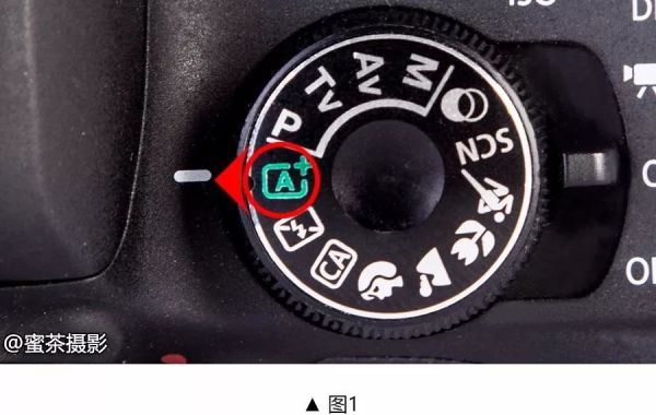 蜜茶摄影—相机这么多模式，该用哪一个？