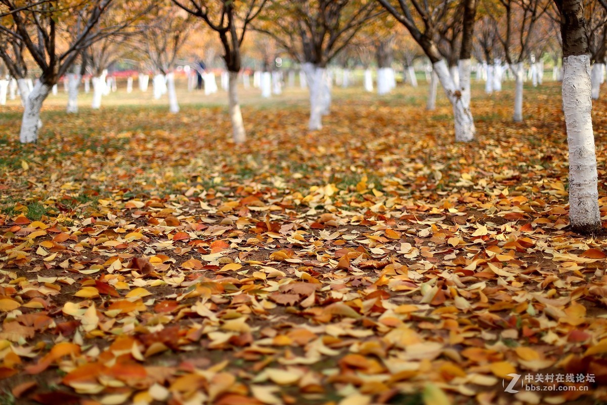 第一次用50 f1.4感觉有味道