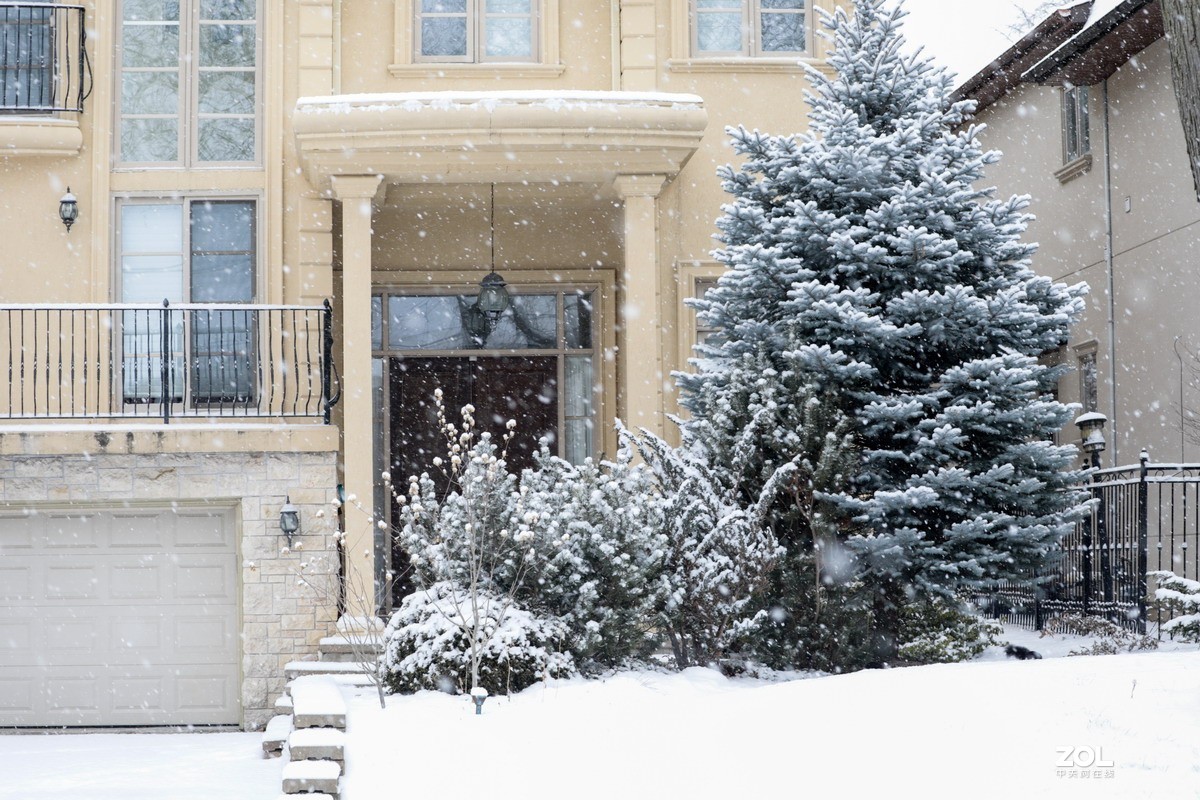 多伦多这个冬天的第三场雪6