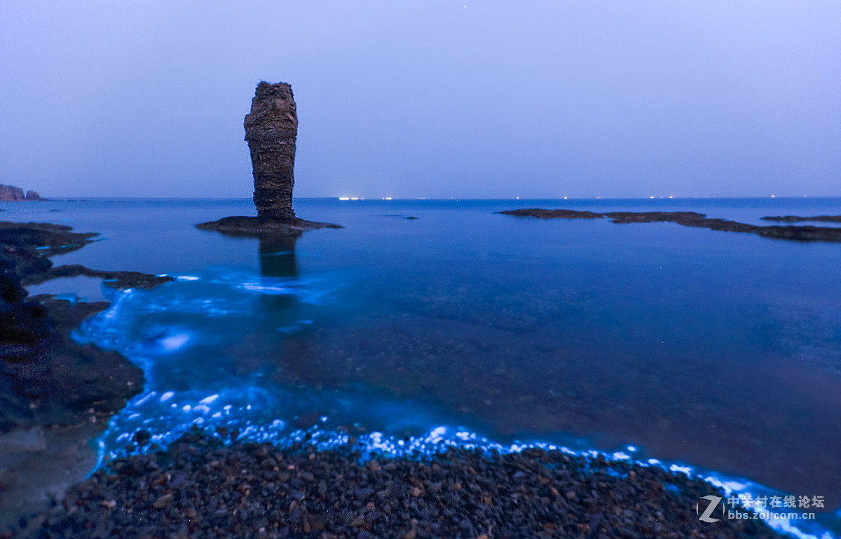大连出现荧光海