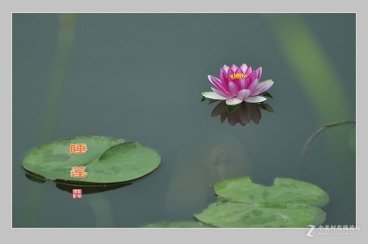 #版主坐堂#2016年8月份《承德》优秀作品选辑