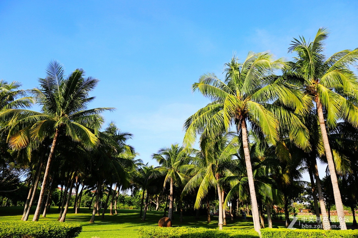 #版主坐堂#2016年8月份《承德》优秀作品选辑