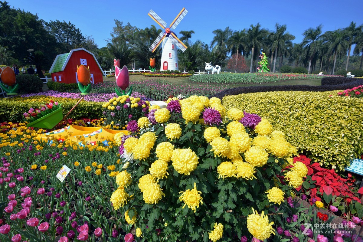 鸡年游广州云台花园