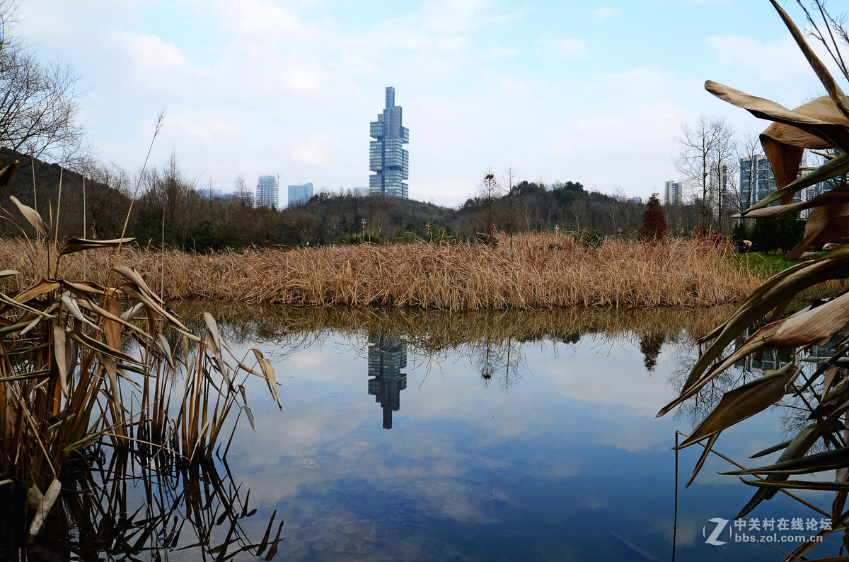 观山湖