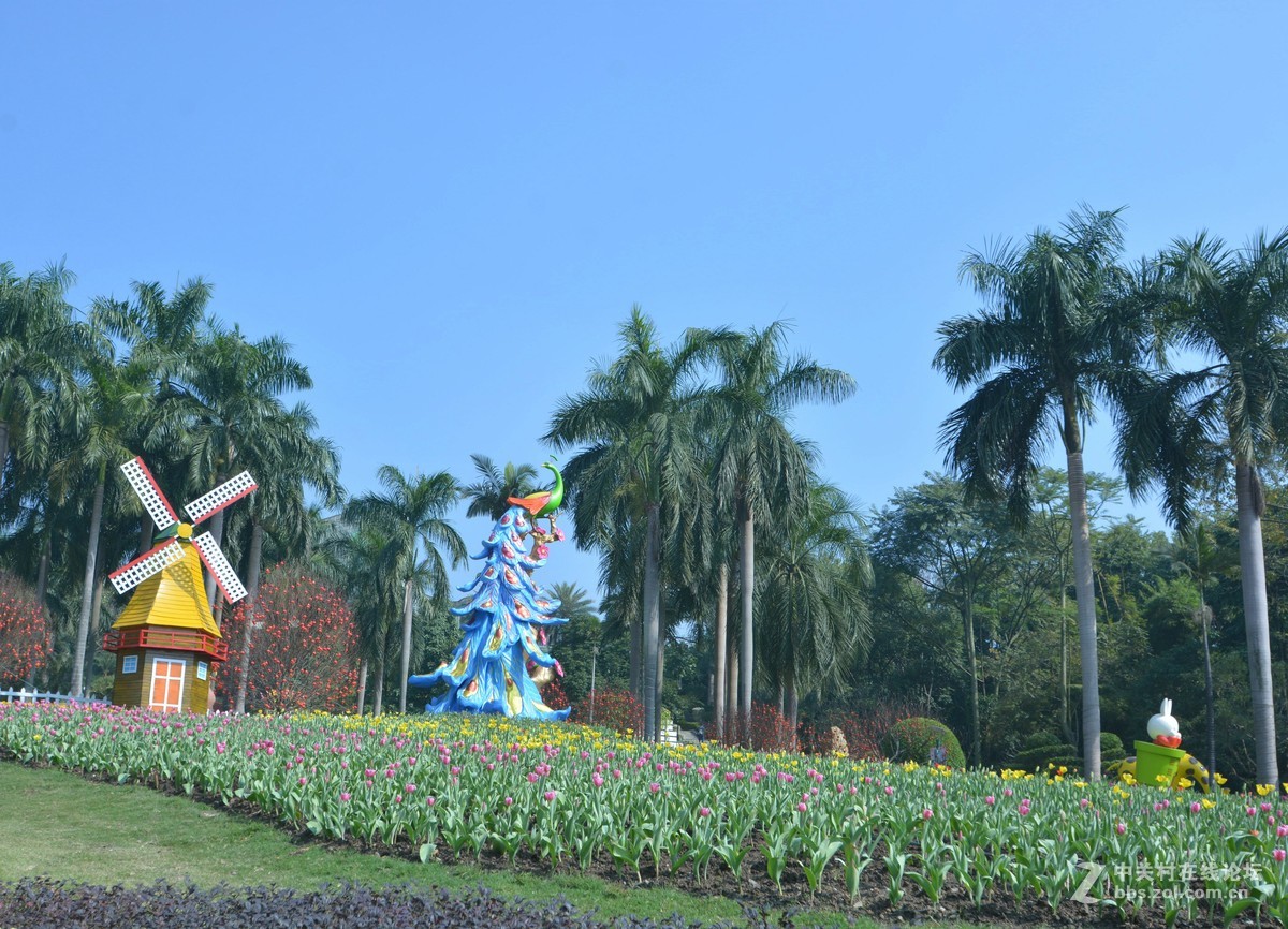 鸡年游广州云台花园