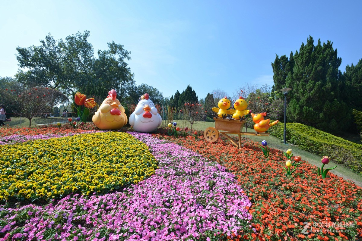 鸡年游广州云台花园