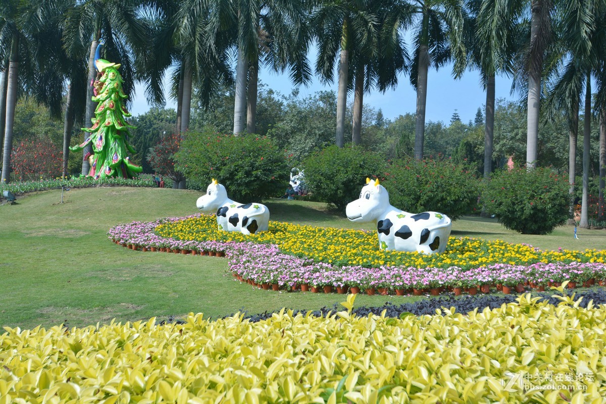 鸡年游广州云台花园