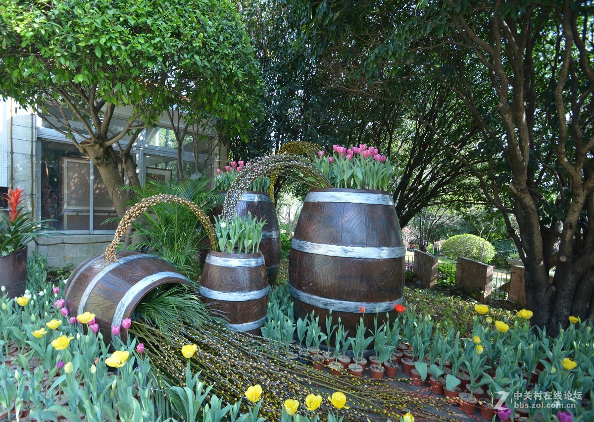 鸡年游广州云台花园