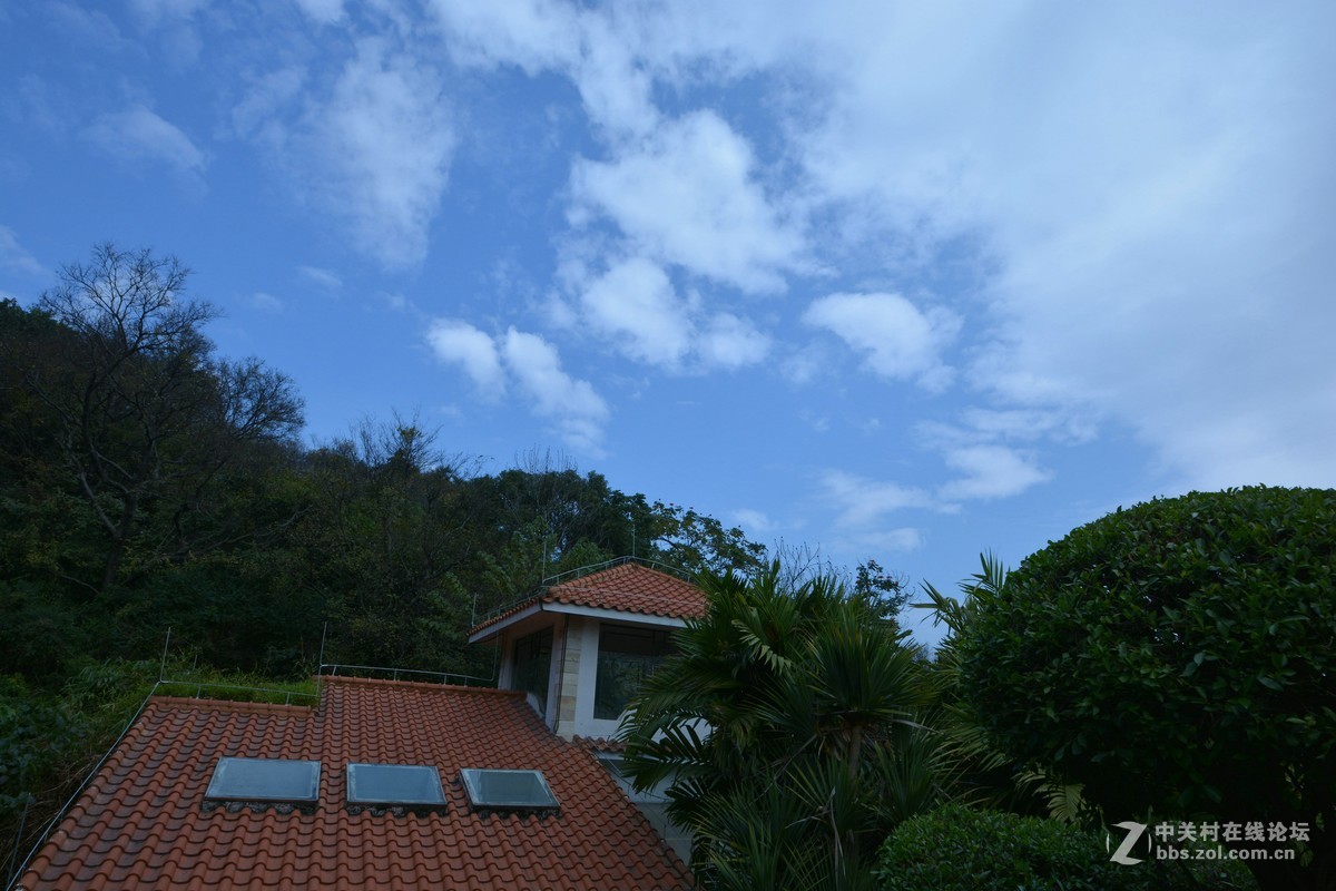 鸡年游广州云台花园
