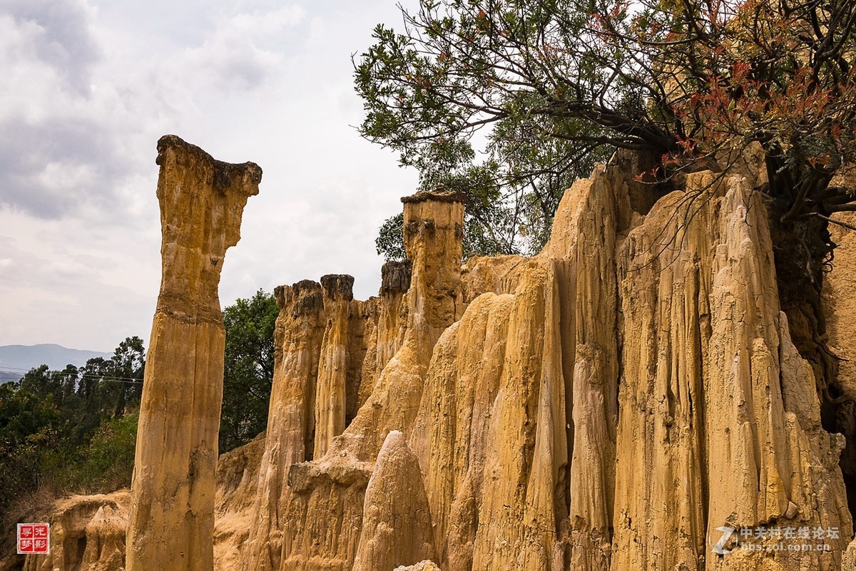 西昌黄联土林随拍