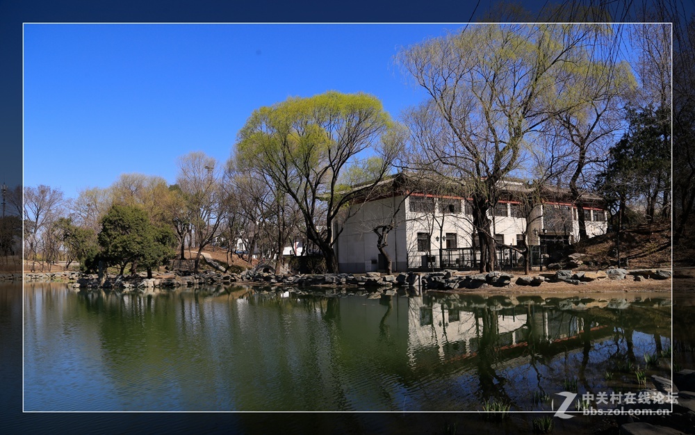 #佳能月赛-与佳能一起去踏青#未名湖畔春来早