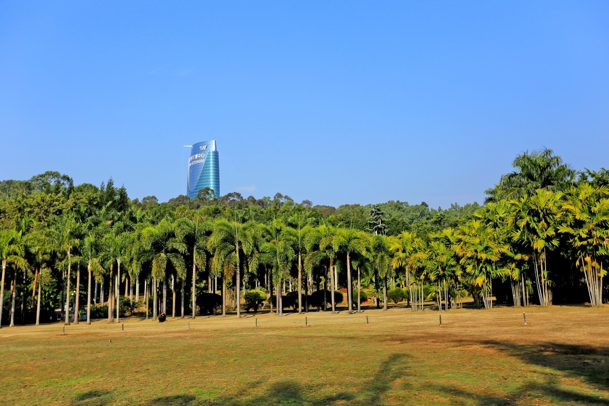 深圳莲花山公园1