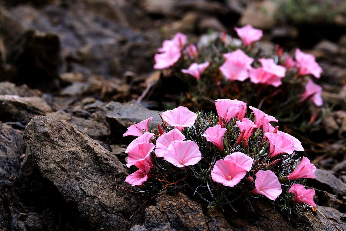 户外——爬山——随拍