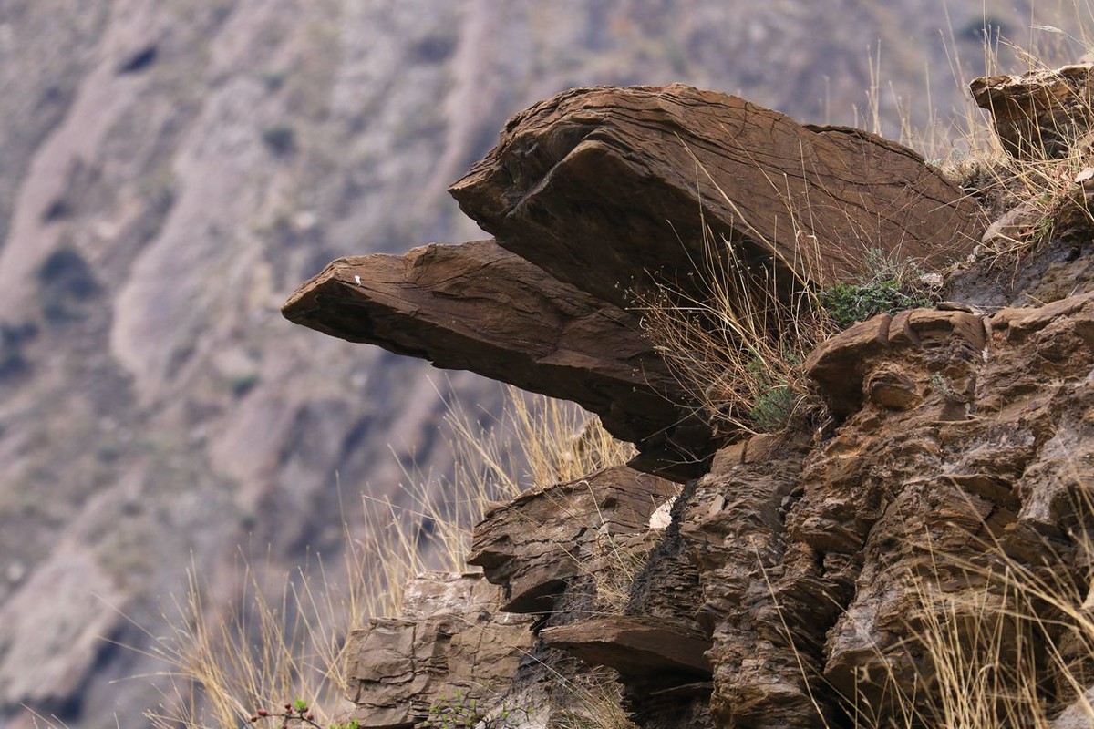 户外——爬山——随拍