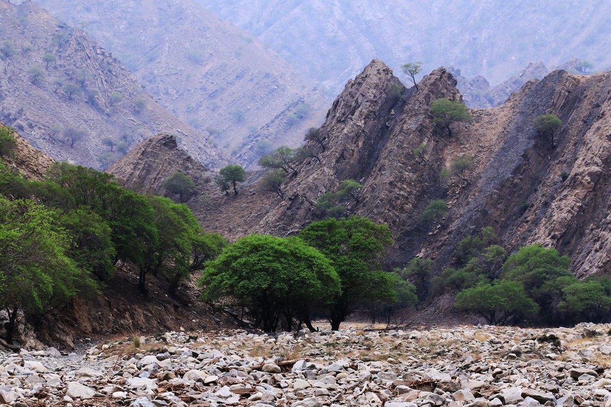 户外——爬山——随拍