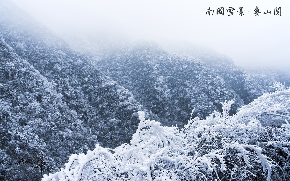 南国雪景娄山关雪景