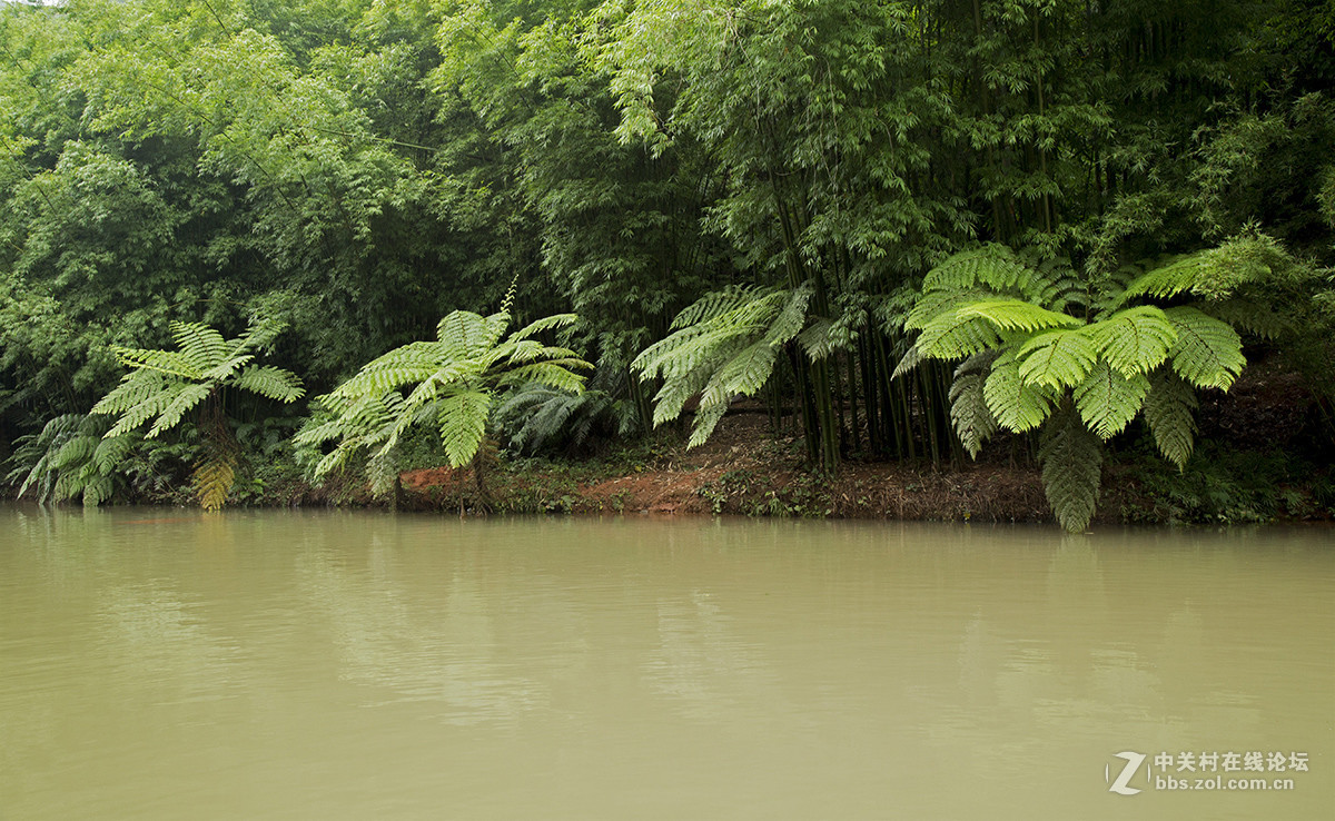 遵义赤水四洞仙境