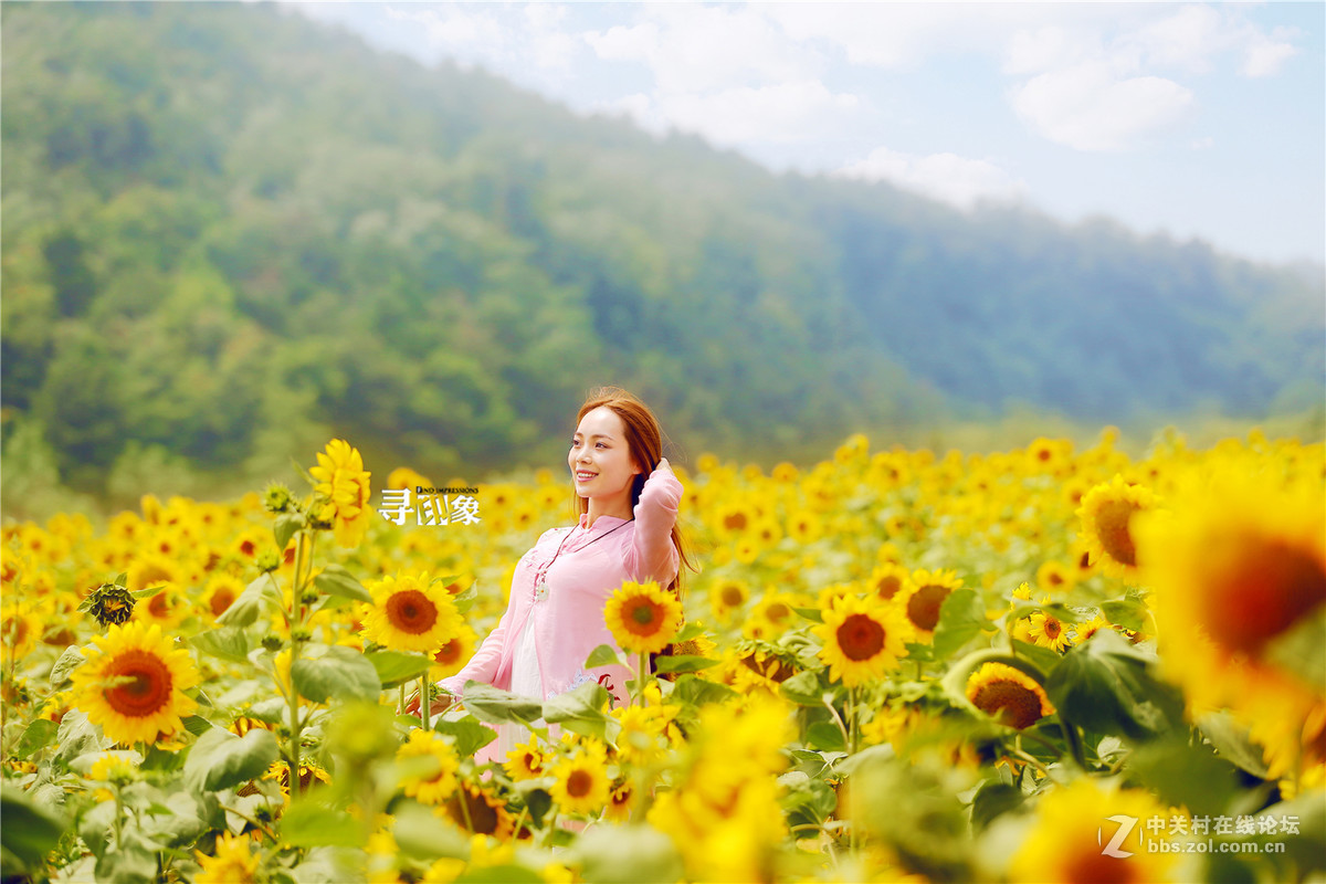 阳光下绽放自己的美丽