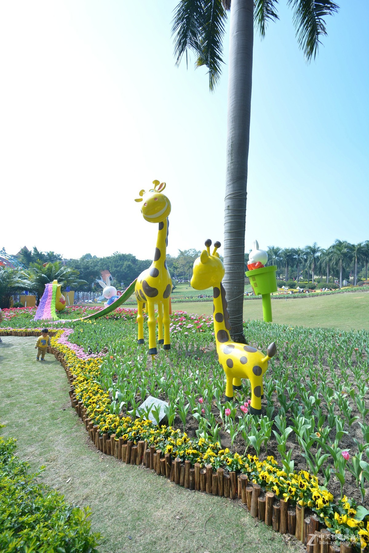 鸡年游广州云台花园