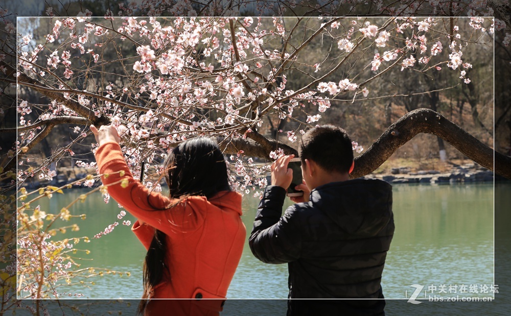 #佳能月赛-与佳能一起去踏青#未名湖畔春来早