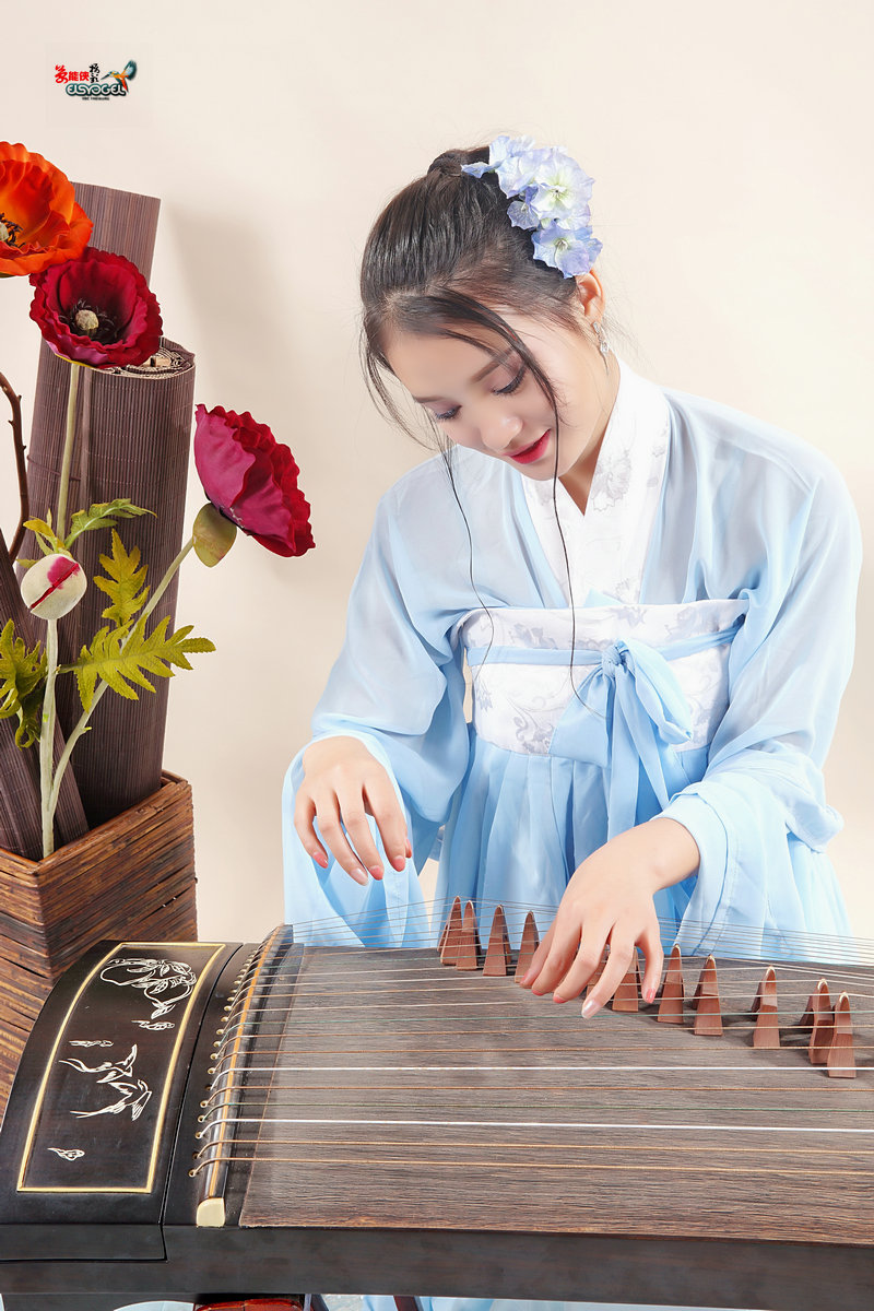 古筝柔情女范儿