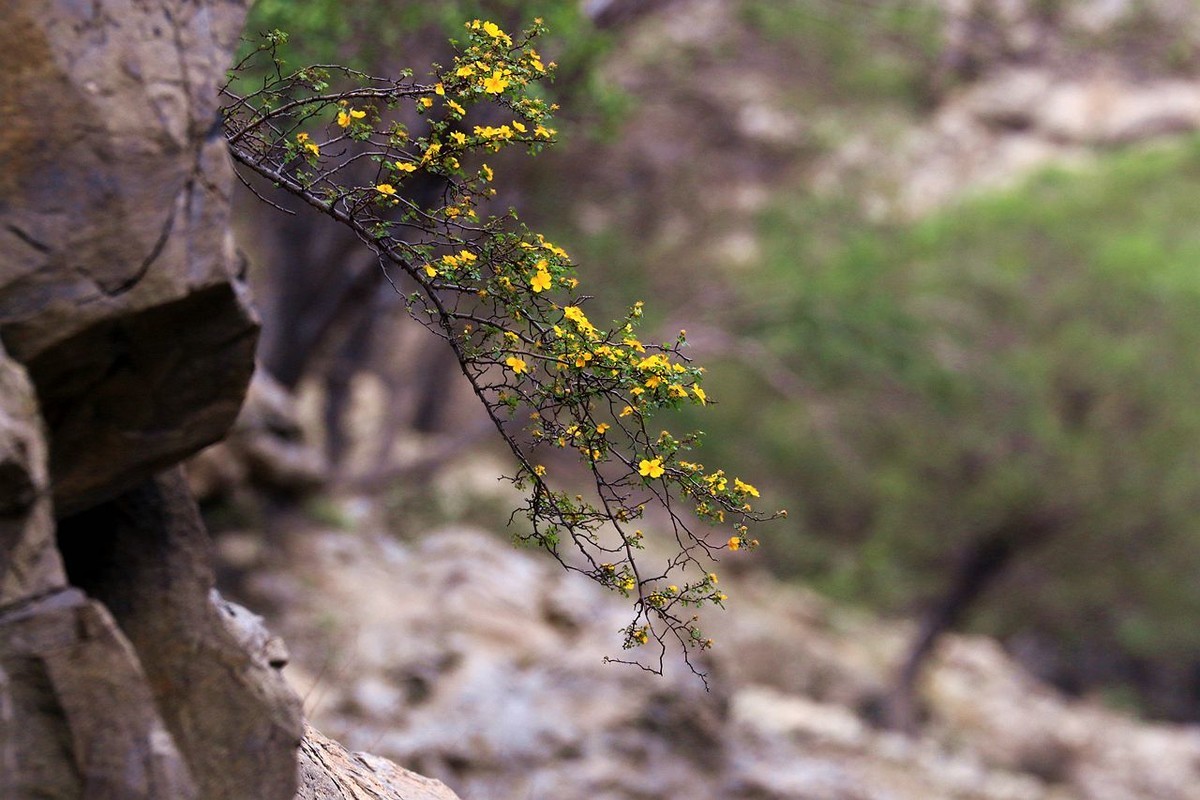 户外——爬山——随拍