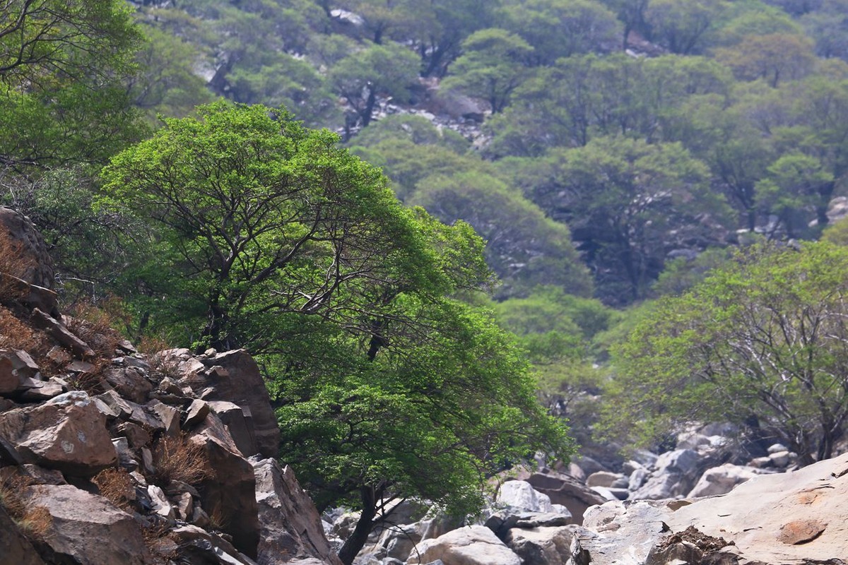 户外——爬山——随拍