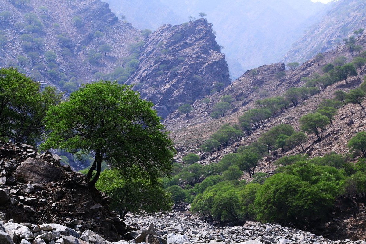 户外——爬山——随拍