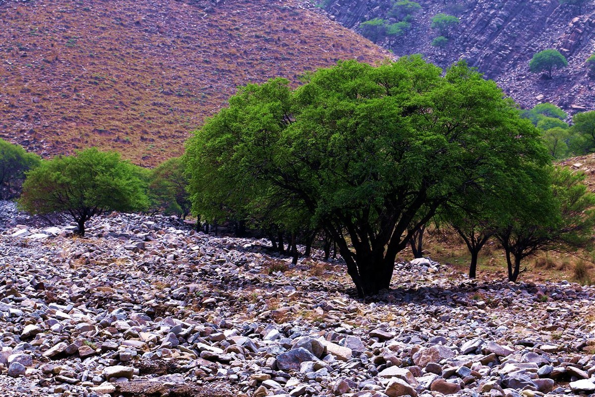 户外——爬山——随拍