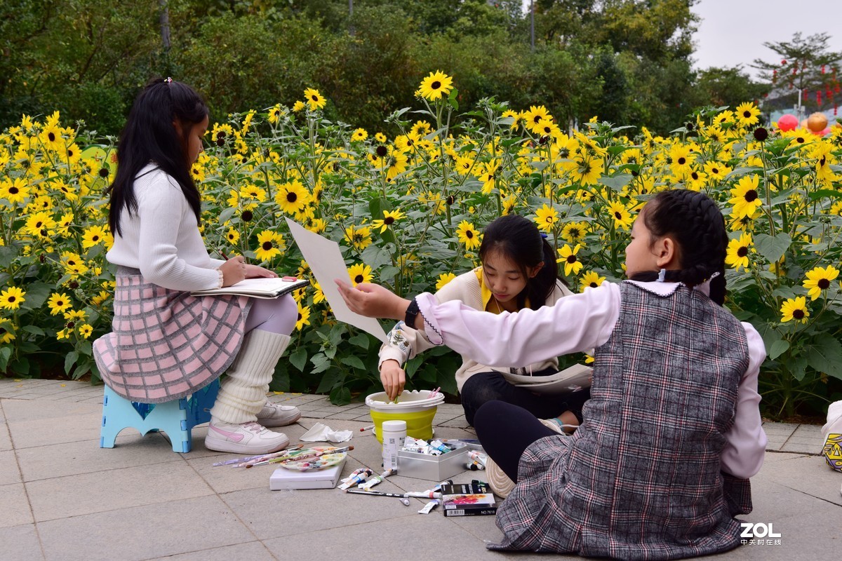 向阳花-喜气洋洋迎新春