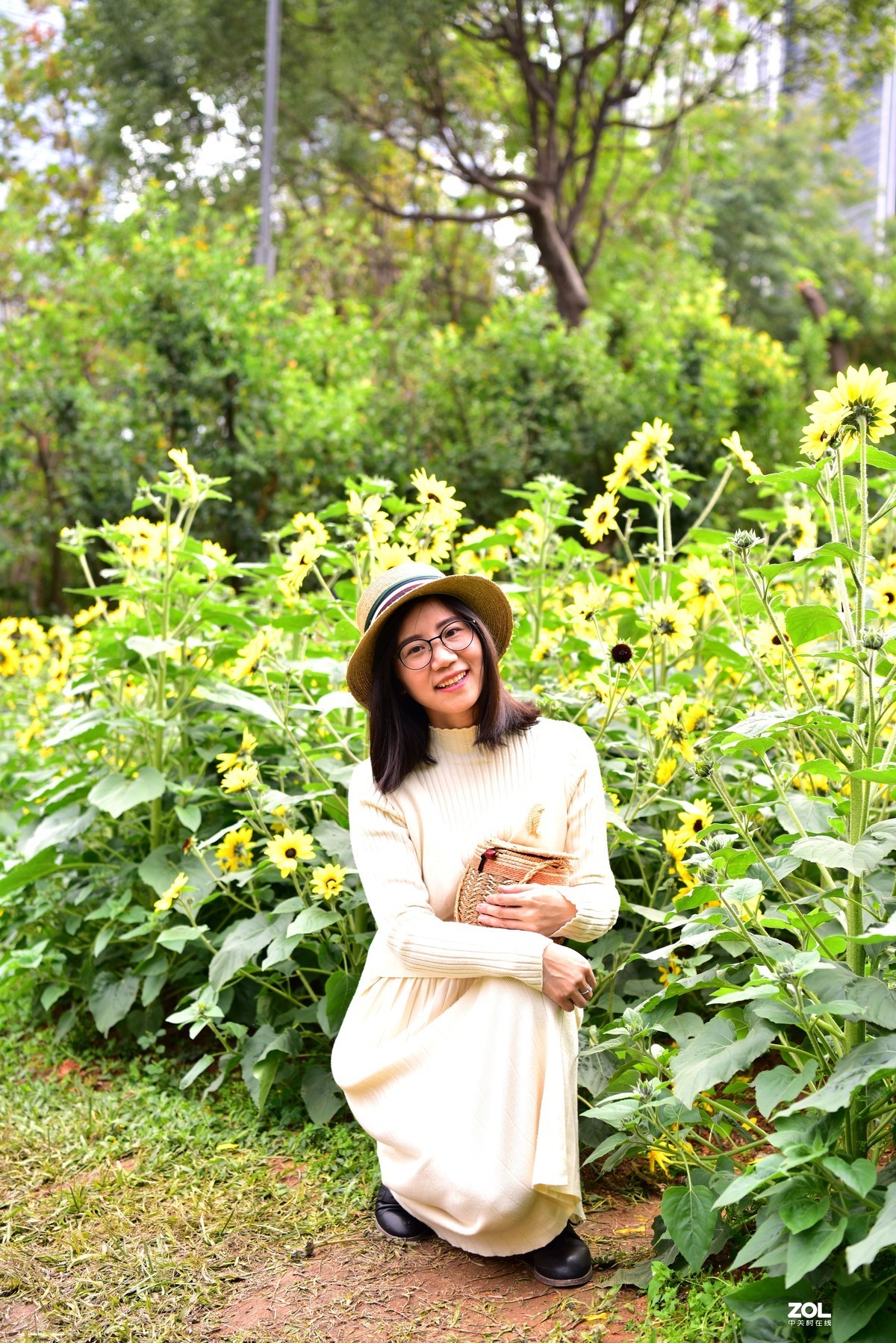 向阳花-喜气洋洋迎新春